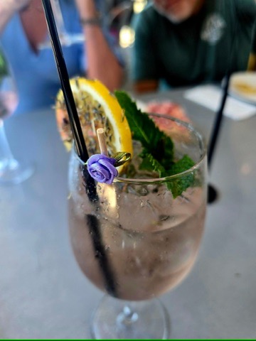 Guest photo