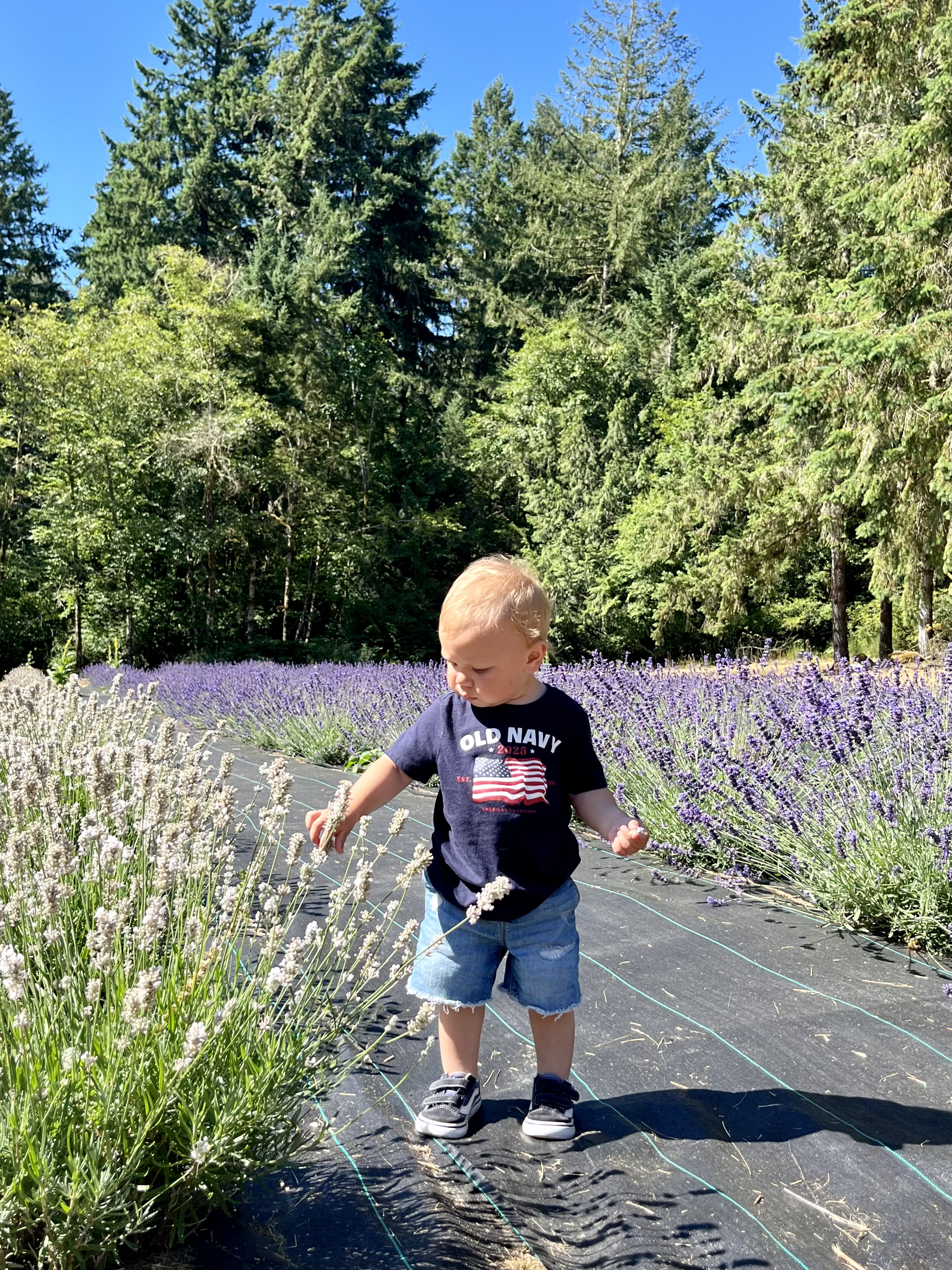 Guest photo