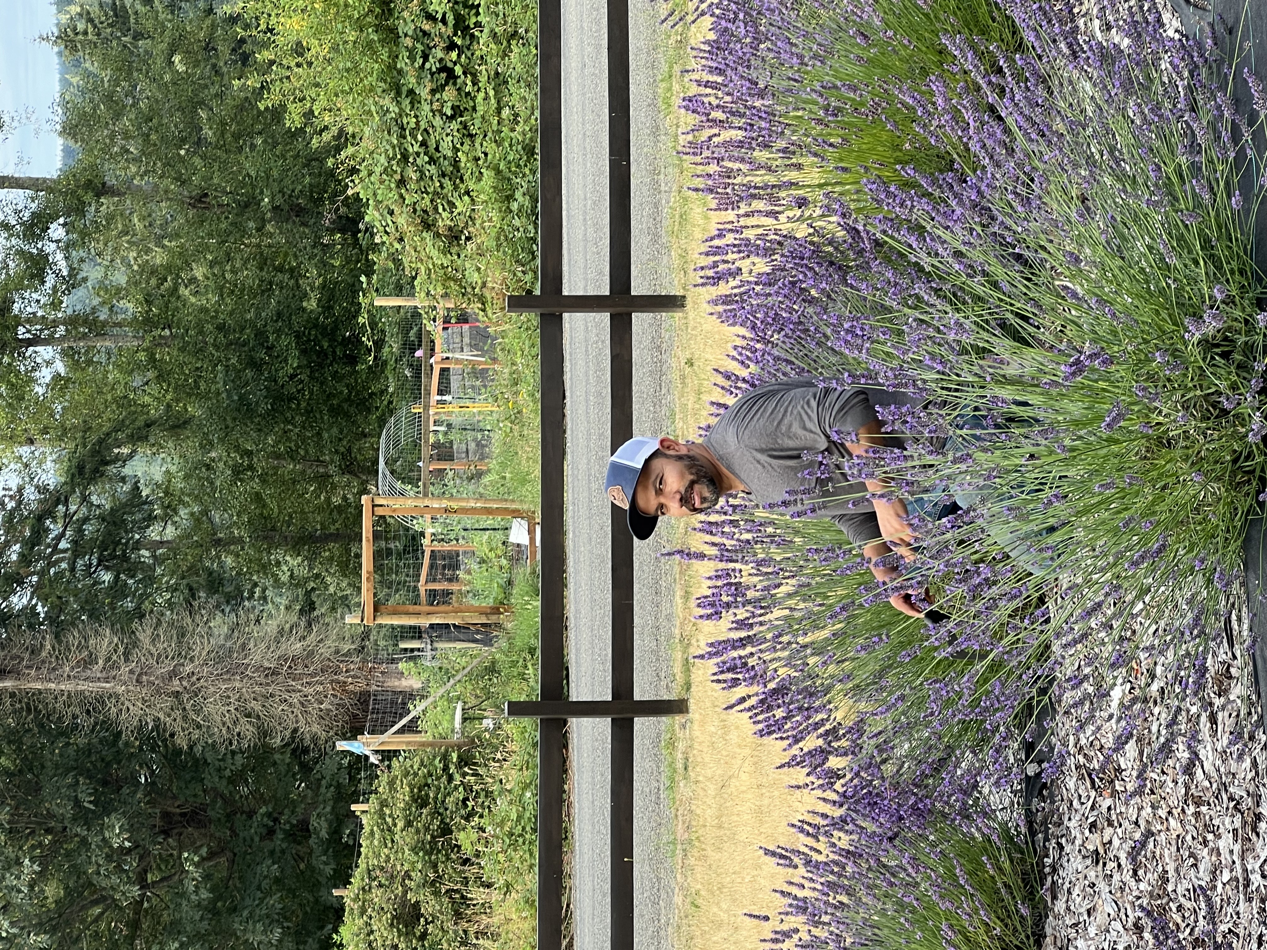 Guest photo