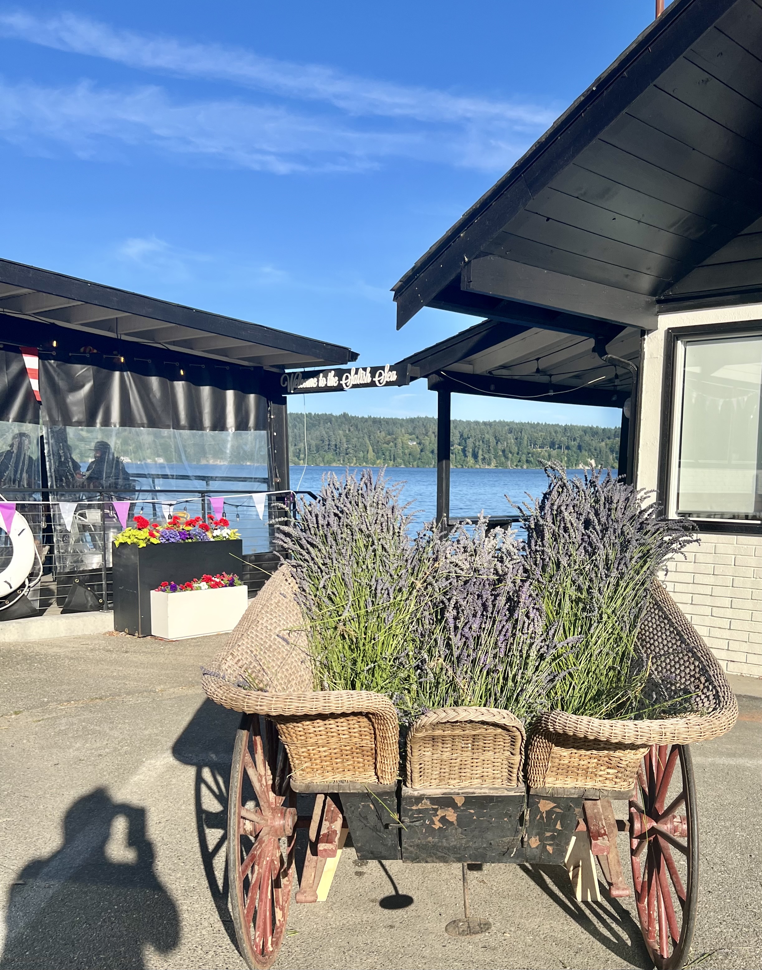 Guest photo
